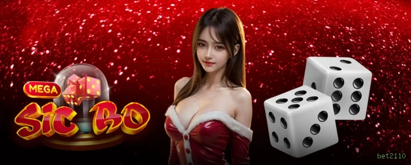 bet2110 Segurança
